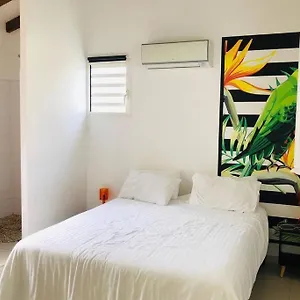 Kâz Tropicale Villa